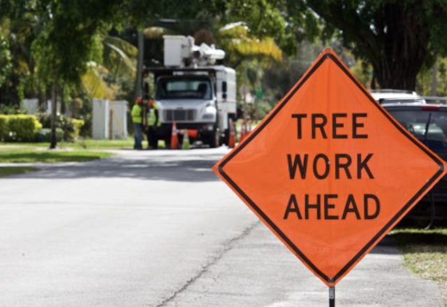 tree removal Essex Fells nj